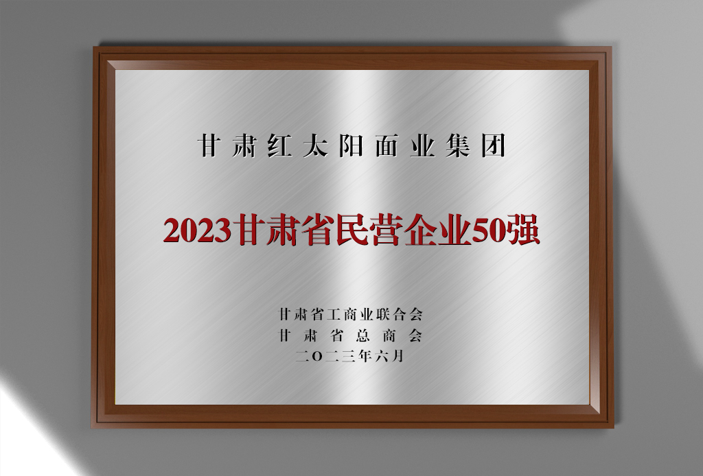 2023甘肃省民营企业50强